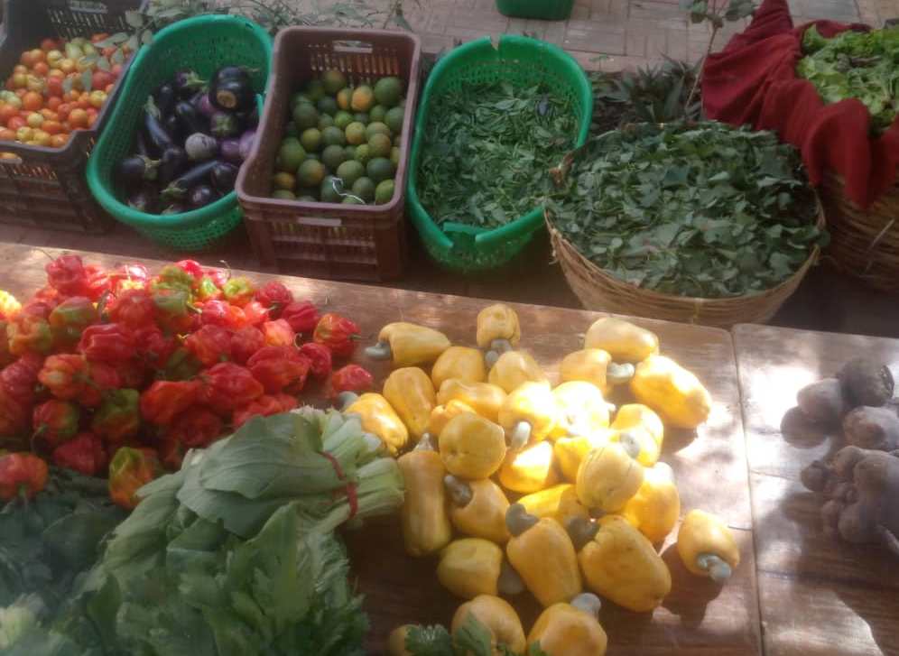 étalage au marché Bio hebdo Sotuba