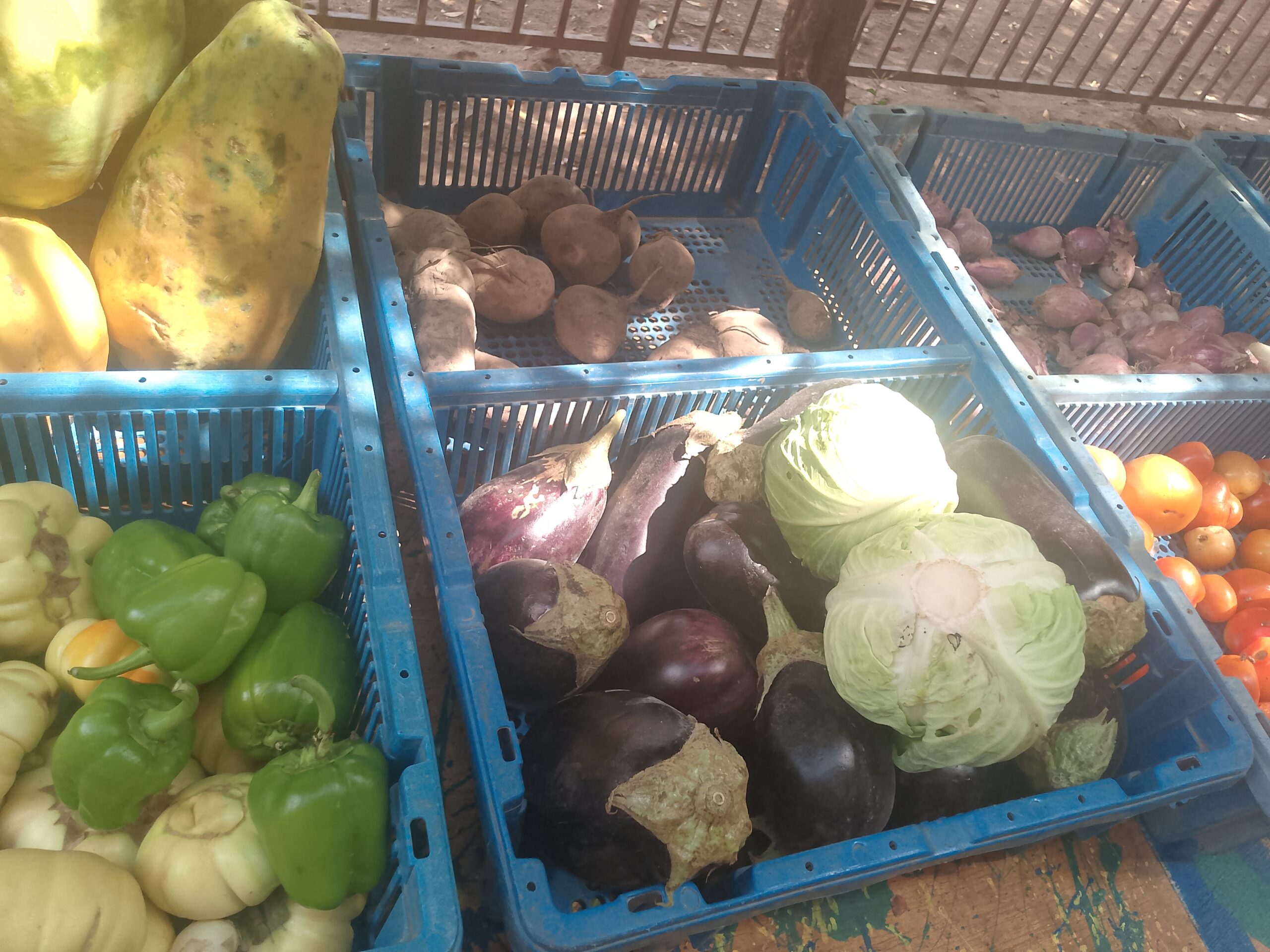 étalage au marché Bio hebdo Magnambougou 2